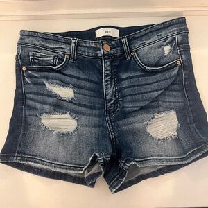 BKE Parker Shorts - NWOT